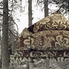 Burl