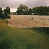 Tallgrass