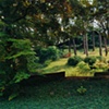 Clearing