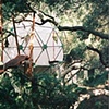 O2 Sustainable Treehouse

Beverly Hills, CA