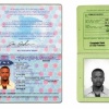 Joe Johnson, Ronaldo DeCosta II: The United States, Brasil