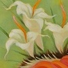 Fine Art