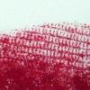red scarf