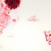 pomegranites