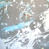 paint paint