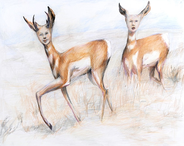 
Antelope Women