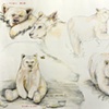 
Spirit Bear