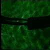 stills from "Stardumb" 1993 1st Prize Fifth Year Traveling Scholars Competition SMFA Boston, MA