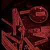 Astral Bodies