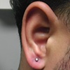 Ear Lobe