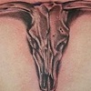 Longhorn