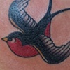 Sailor jerry sparrow
