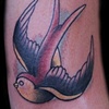 Sparrow