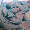 White Rose