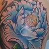 Japanese Flower
