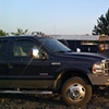 My horse