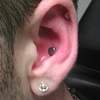 Conch
