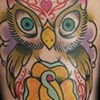 Owl 