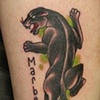 Panther