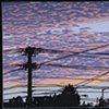 Telephone Poles in Sunset (large)