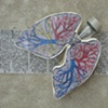 Lungs with scroll removed