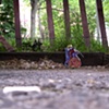 Heart in Washington Square Park