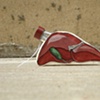 Liver