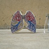 Lungs with vial removed