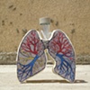 Lungs