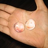 Titty Buttons