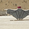 Uterus (back)