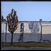 Winter Trees