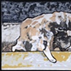 Roadkill