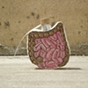 Intestine