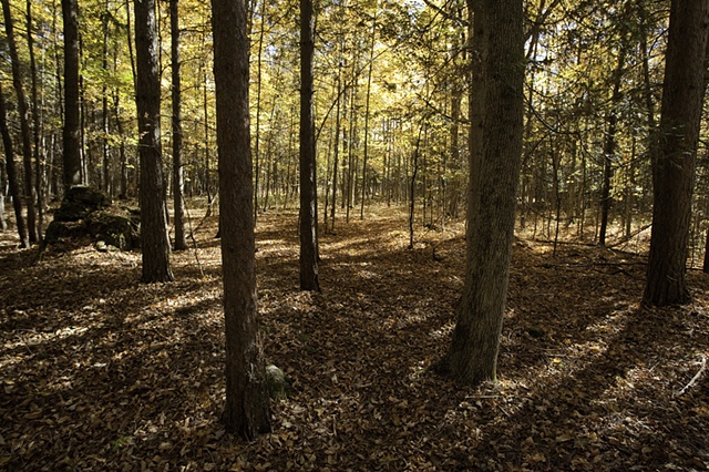 side trail - 3564