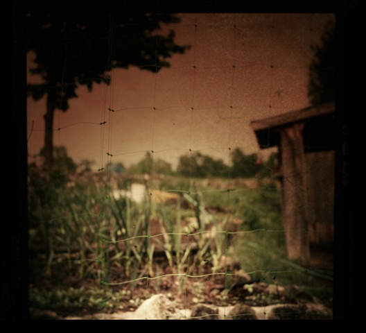 July Garden