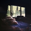 The Mountain Breeze Flows Through That Window