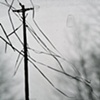 the lines