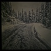 Cavell Road