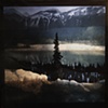 black spruce no. 1 4567