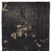 Ancestral Landscape Studies 2009-2011