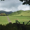 "Hana-Maui"