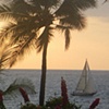 "Pacific Paradise"