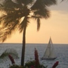 "Pacific Paradise"