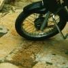 Cow and Bikes