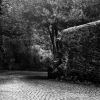 Pathway