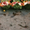 Flower Boats