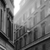 Corner with Sunlight