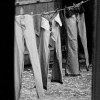 Jeans on a Line