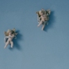 Blue Room